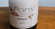 城戸ワイン　Autumn Colors 2023 ルージュ　ワイン 城戸ワイン オータムカラーズ ルージュ2023 720ml のオンライン