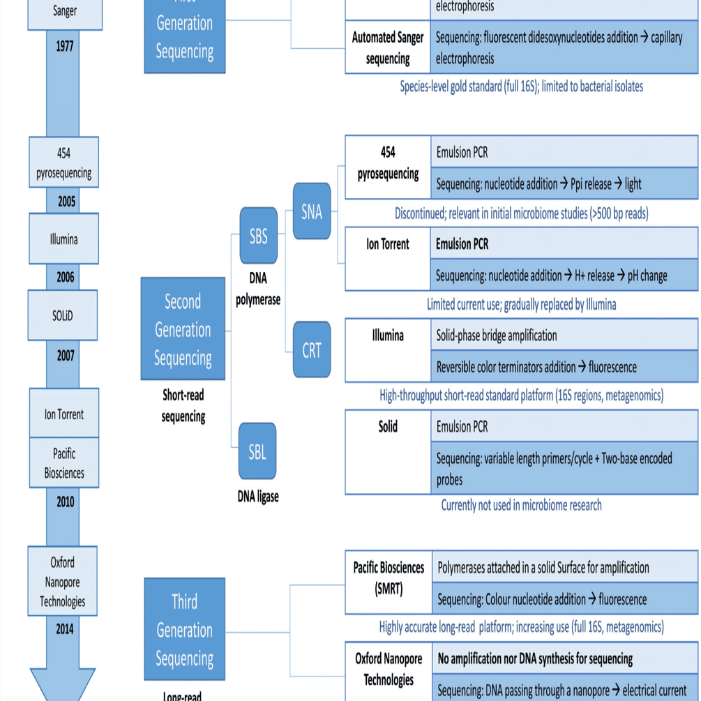 ロングリードシーケンス手法がマイクロバイオーム解析を革命的に変革している理由は何か？｜哉百名