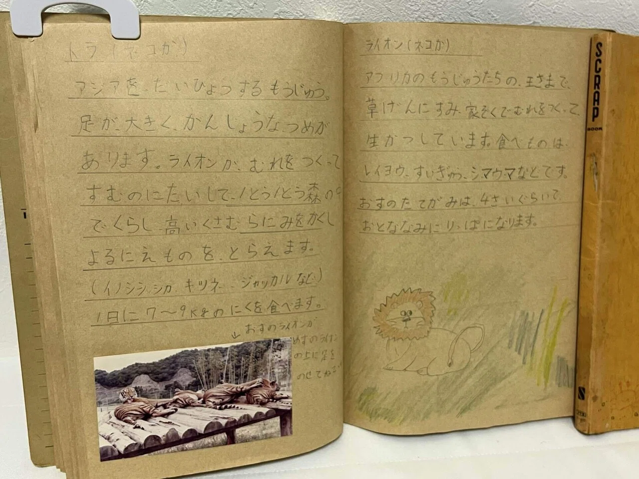 旅行日記 】アラフィフが小学校時代のたびにっきを読み返してみた