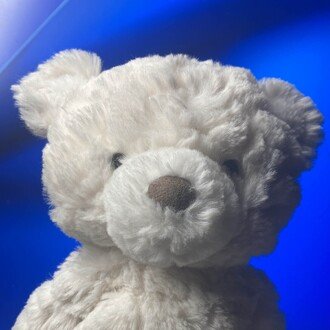 ニッチ技術と駄文アカ