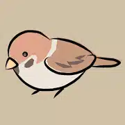 マルチュン