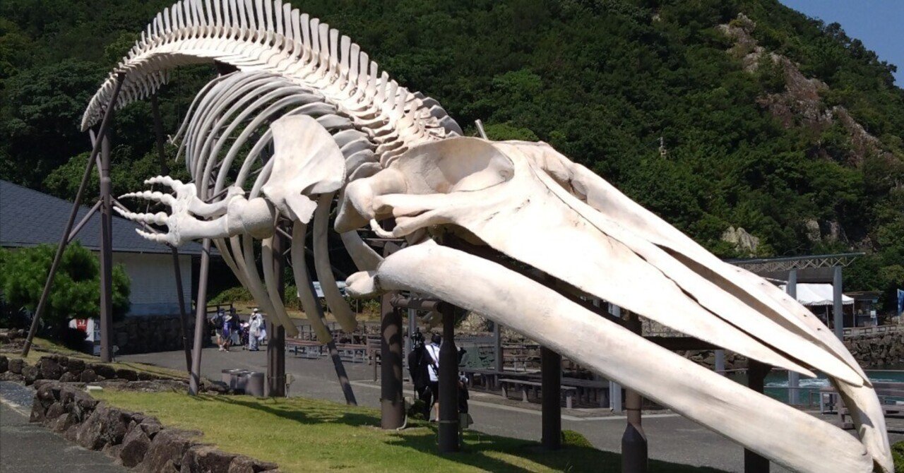 送料無料　時代物　鯨骨　置物　34ｃｍ 重284g　★希少★ 718ezi9pBXL._AC_UF350,