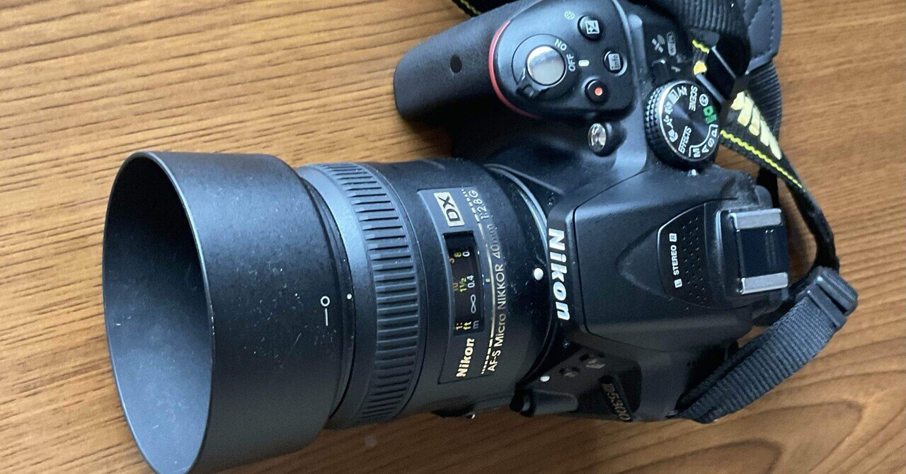 感覚とNikon D300｜sekizuihan