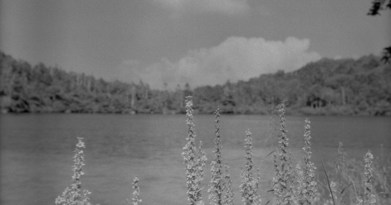 写真まとめ② Nikon】Z fc×F Lens PhotoーAPO-SKOPAR 90mm F2.8 SL IIsー