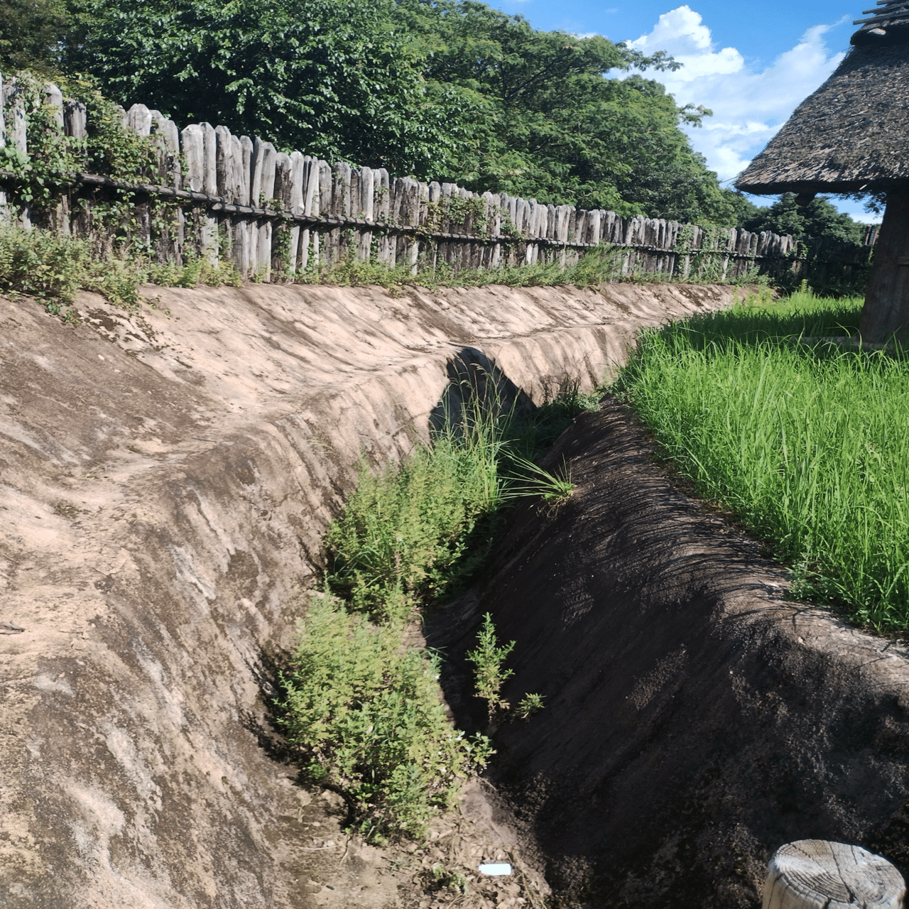 2025年7月24日 九州遺跡巡り2日目②【佐賀】吉野ケ里遺跡