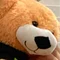 yoichi