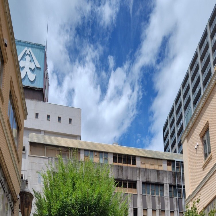 誰かの願いがカタチになった本棚(七日町)【山形市・本のある場所めぐり