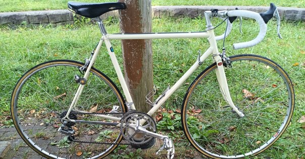約20年前のフルクラム レーシング3（C15）を11速化する｜てん