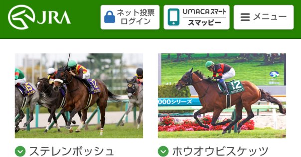 2025年 ヴィクトリアマイルカップ テンハッピーローズポスター m74636358059_1.jpg?1741865984