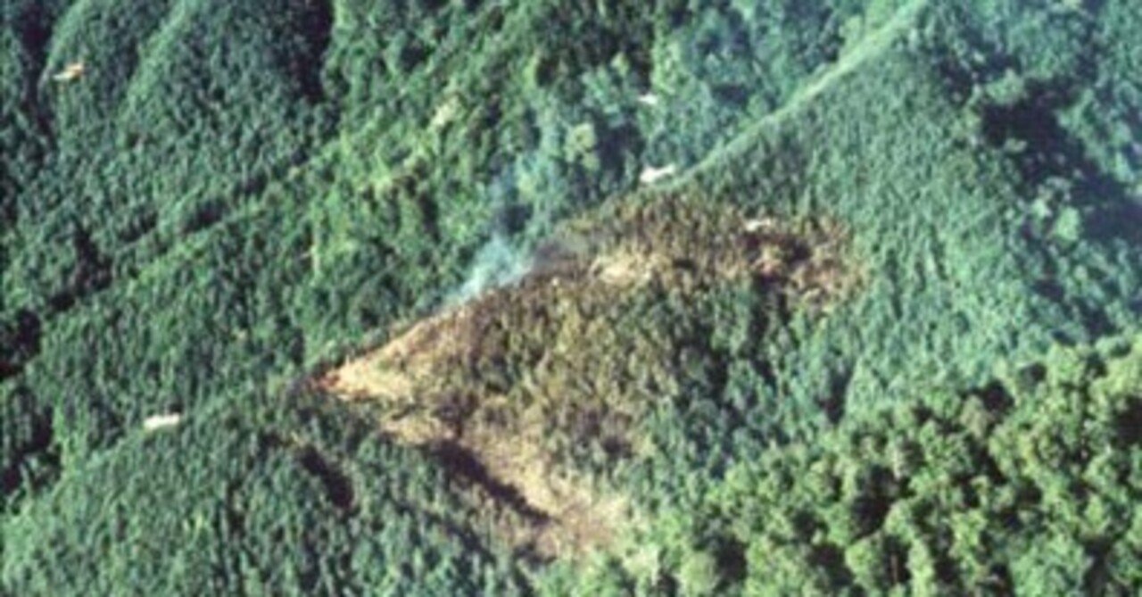 1985年8月から40年。日航機墜落事故と内田裕也とおニャン子クラブ