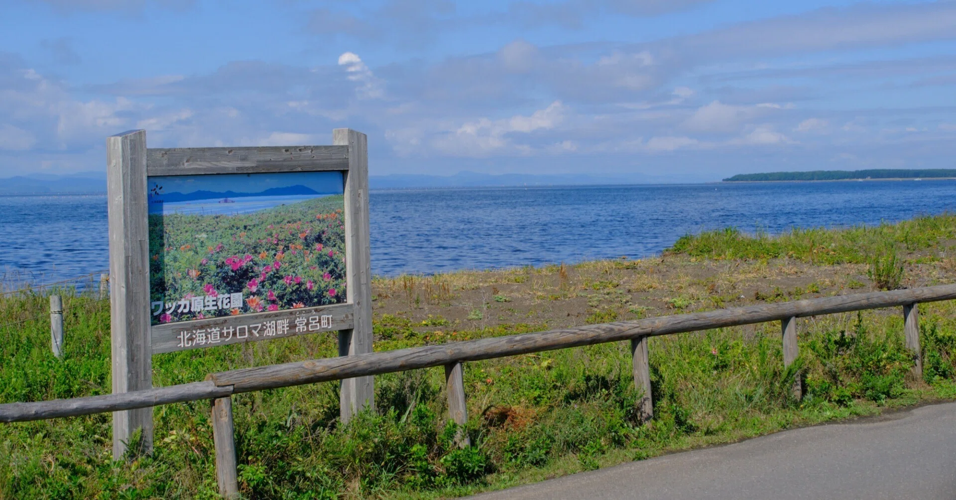 北海道遺産・ワッカ原生花園｜砂州に広がる花と野鳥【2025年8月／第36
