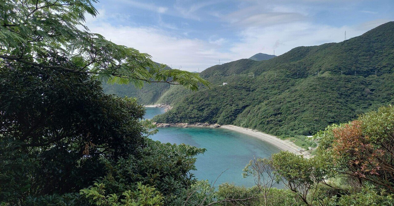 ノシロ 日本で生まれた共生時代の国際簡易言語/泰流社/水田扇太郎（単行本） 新旧ノシロ語読み比べ｜バベルの廃墟でかくれんぼ