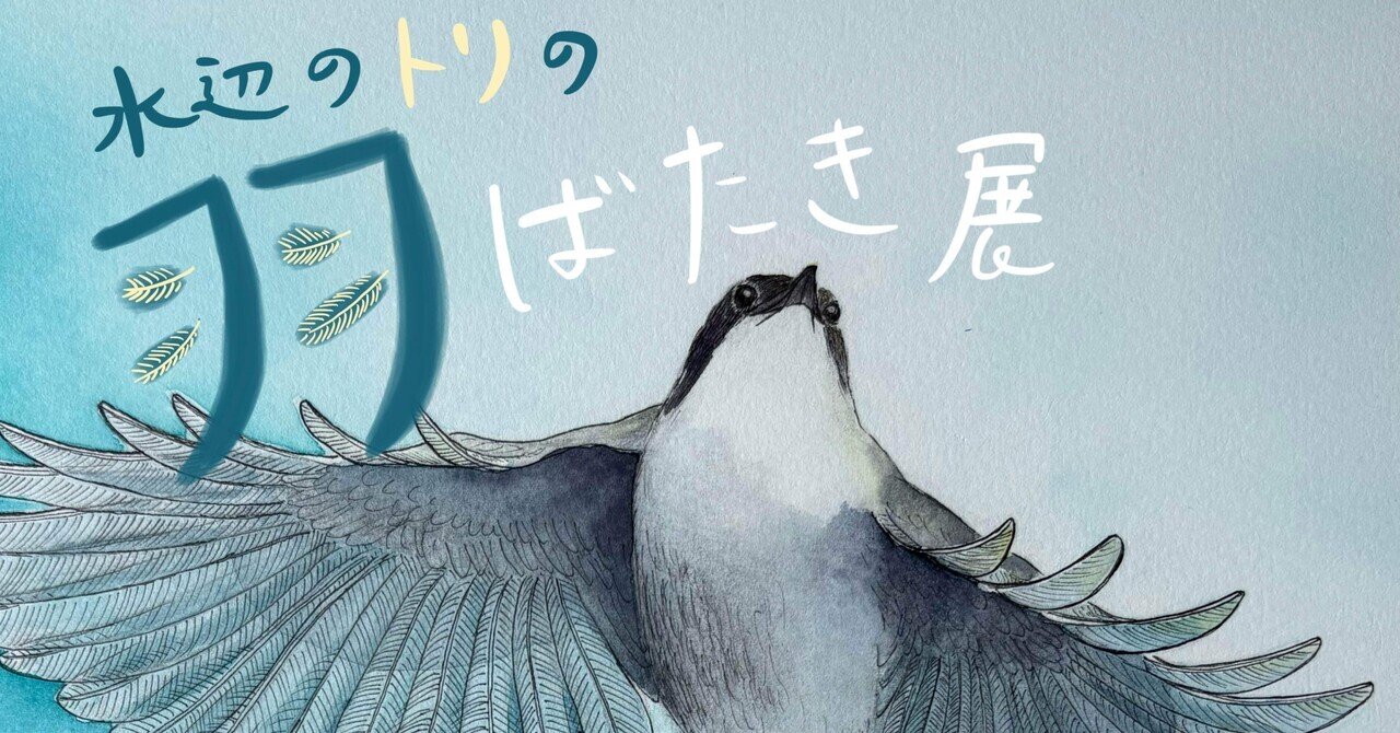 BIRDER8月号の見どころ｜ブンイチ（文一総合出版）
