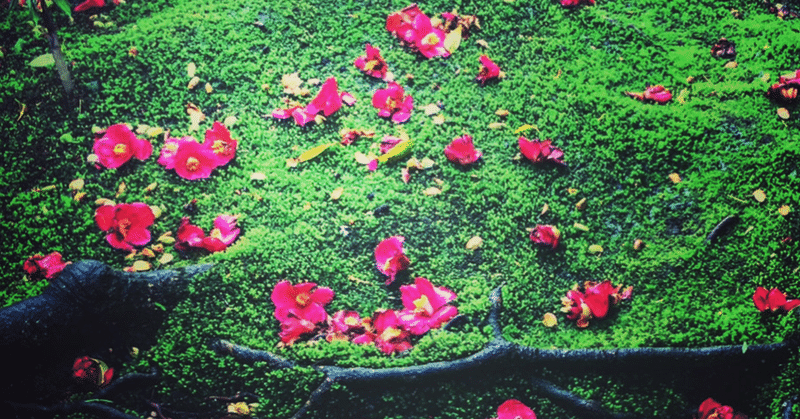 咲く花よりも 散る花を Yoshiko Note