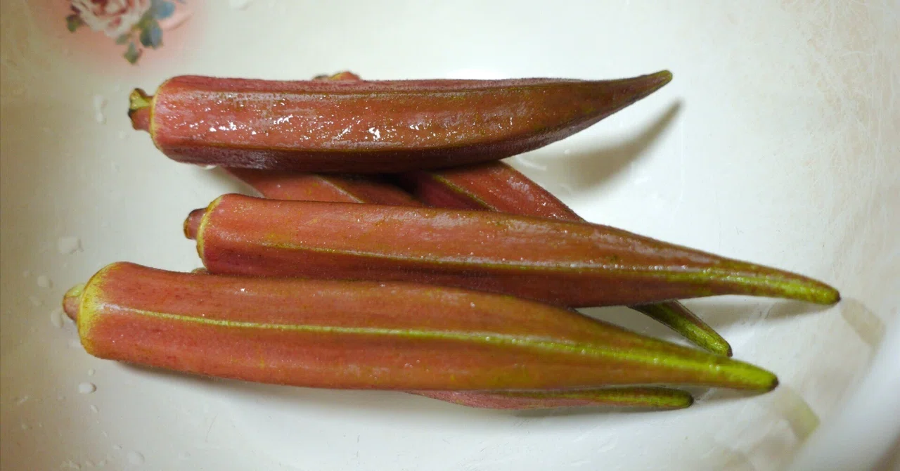 [Vegetables] Buying and eating something called red okra｜主夫けちゃ