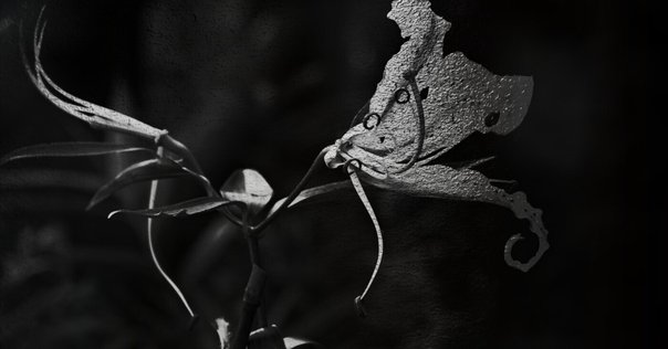 Art｜ゴーガン《花瓶の花》 静物画の楽しみ方｜江六前一郎