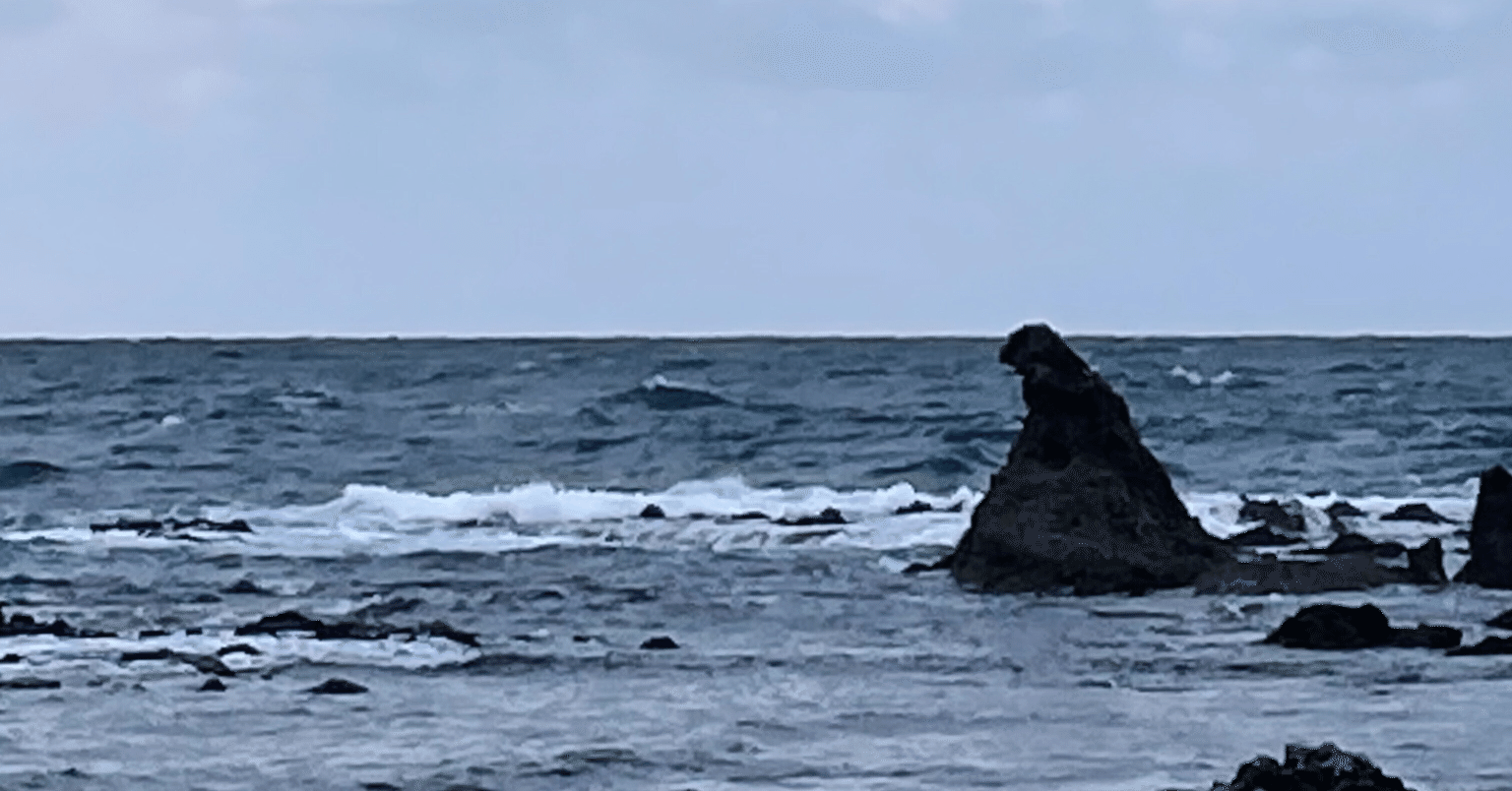 海から日本史像：奥能登地域と時国家を中心として（河合