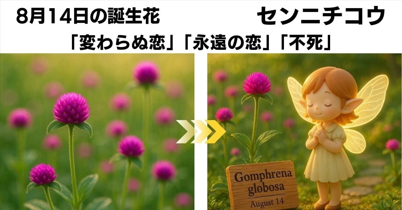8月14日 誕生花センニチコウが語る花言葉「変わらぬ恋／永遠の恋／不死