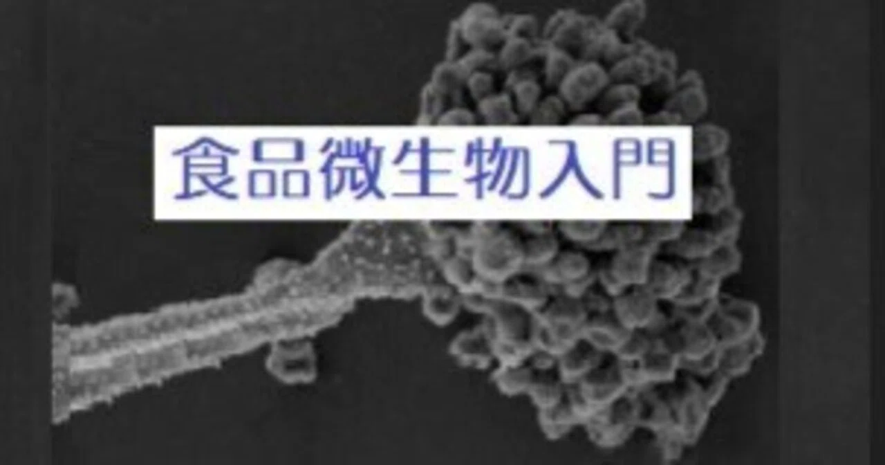 8. Toxin-Mediated Food Poisoning｜YOKKO