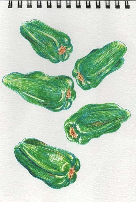 ボールペンイラスト as Note