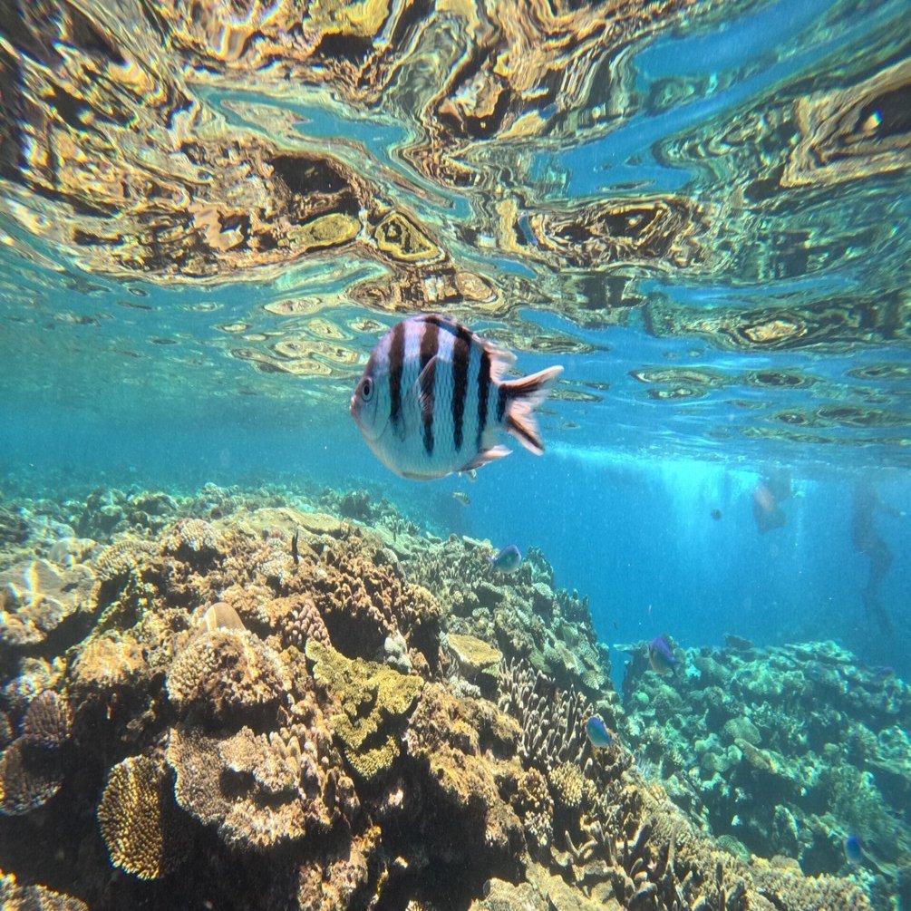 沖縄生まれの私がおすすめする沖縄の楽しみかた｜Stacy