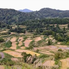 良寛 野の花の歌』 解説 本間明 水彩画 外山康雄｜tasty_avocet591
