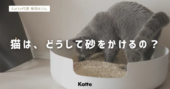 柴田達也 | Katte -世界一美しい猫のトイレを目指して-｜note