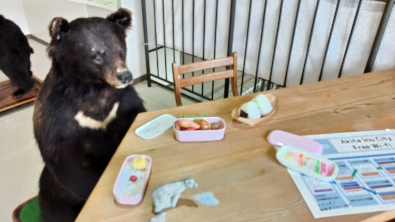い、家の中にクマがっ‼️🐻 ・・・って、剥製ですよ～🤭✨ 今日は秋田