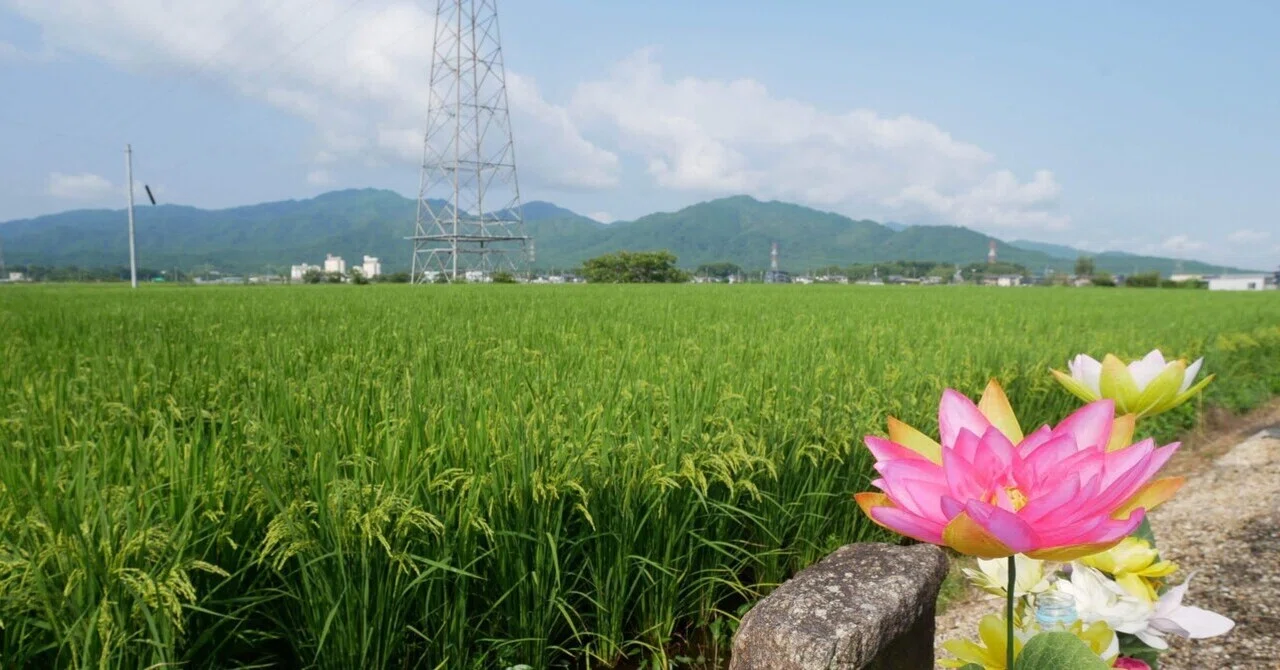ぼっちの東海道歩き旅 その25〜水口宿→草津宿〜｜ぼっちのazumiさん