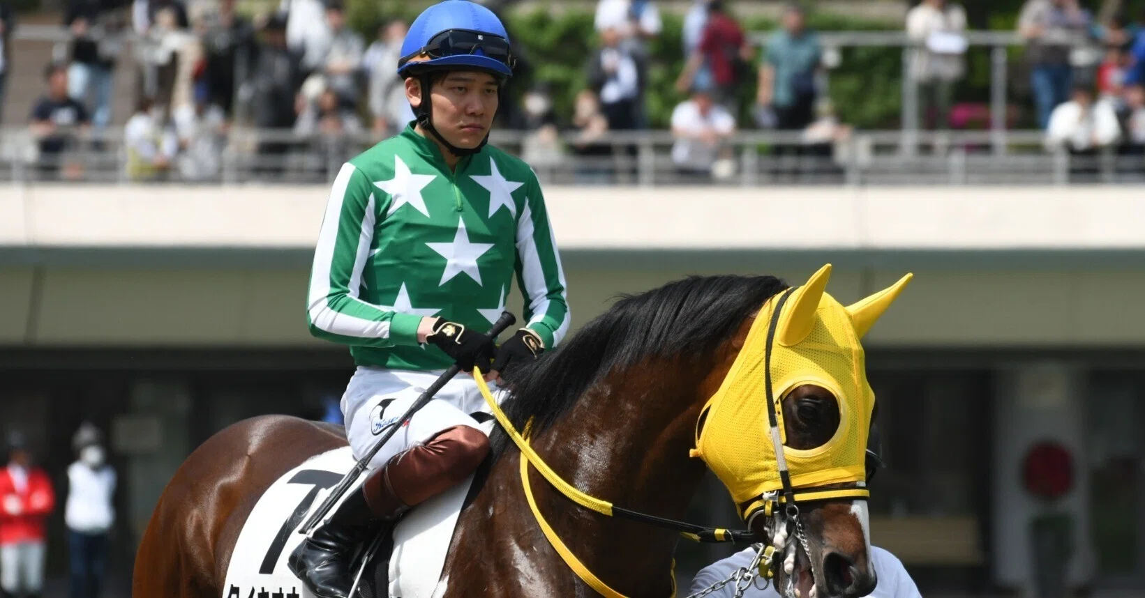大樹レーシングクラブ 2025募集馬(2024年産)AI馬体診断｜Koji Maeda