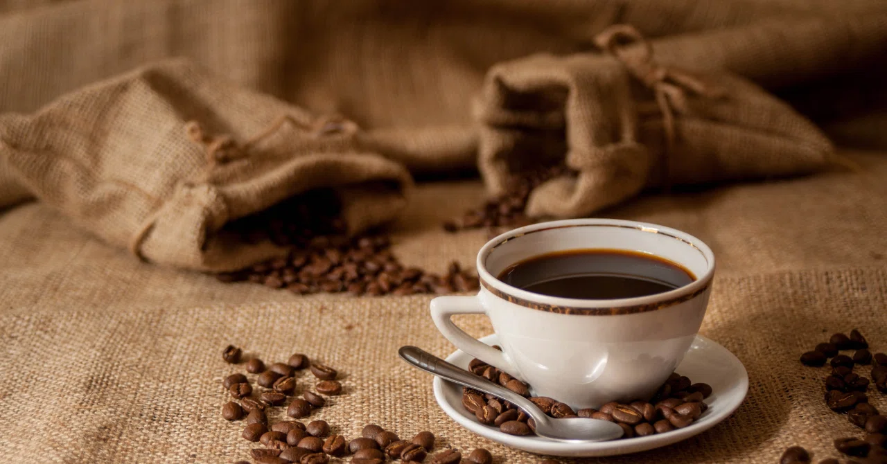 やっと行けた！鎌倉のCAFFE「玄」｜patina｜巡るイタリアン薬膳料理教室