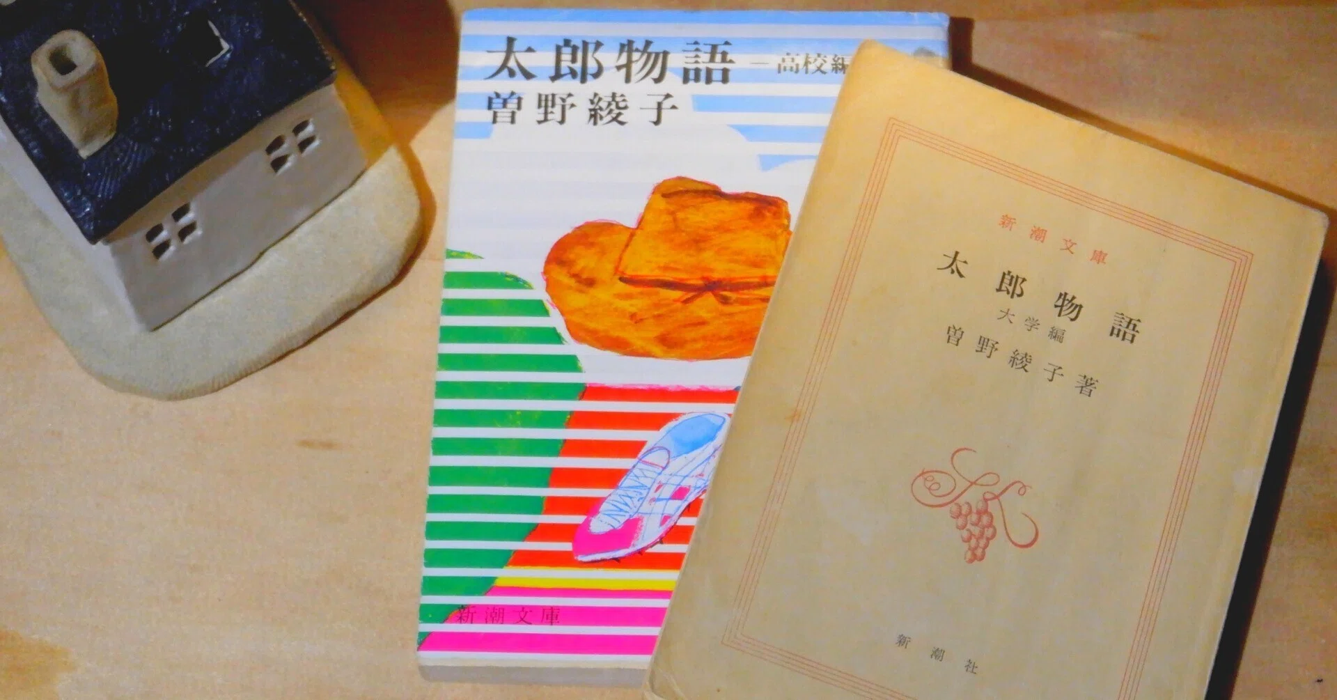 ニュージーへ飛んだ 文庫本 #01 「太郎物語 高校編・大学編」曽野綾子