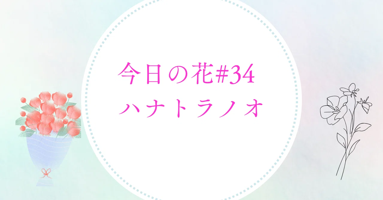 今日の花#34 ハナトラノオ ｜ジャスミンティータイム