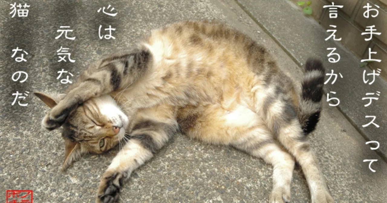 リハビリ 出勤 休む
