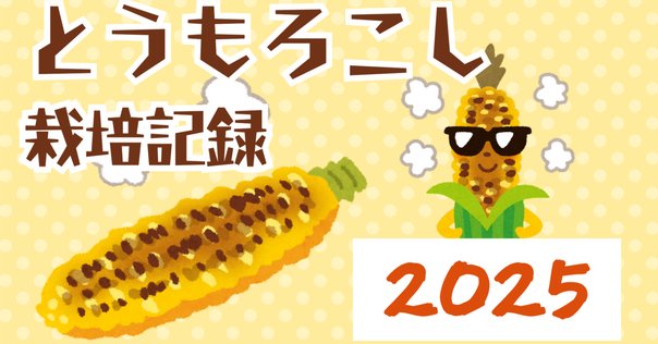 2025年度とうもろこし とうもろこしフェア2025 〜旬のとうもろこしで日本列島、旅して