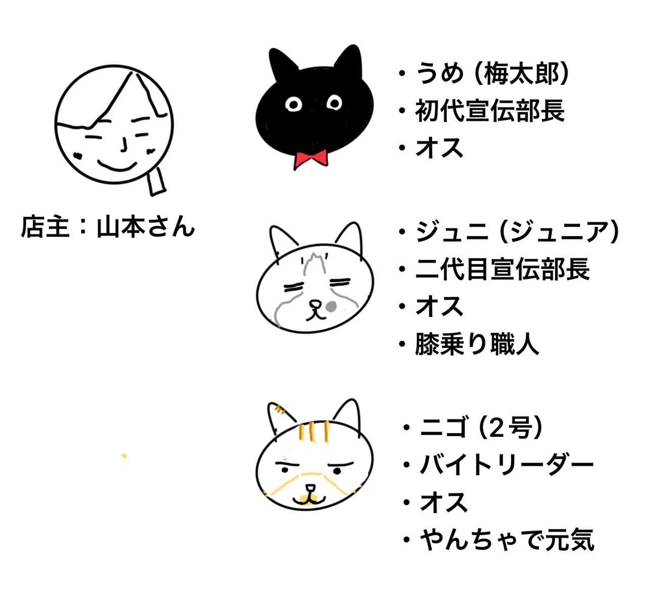 熊本 猫とnëco｜豊田歩 Ayumu Toyoda