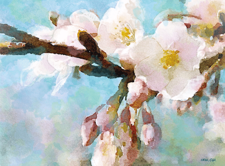 春雨に争ひかねて我が宿の
    桜の花は咲きそめにけり  
               詠み人知らず(万葉集)
#花鳥風月 #自然 #水彩画 #絵 #アート #絵画 #スケッチ #painting #絵描きさんと繋がりたい #和歌 #春 #花 #桜