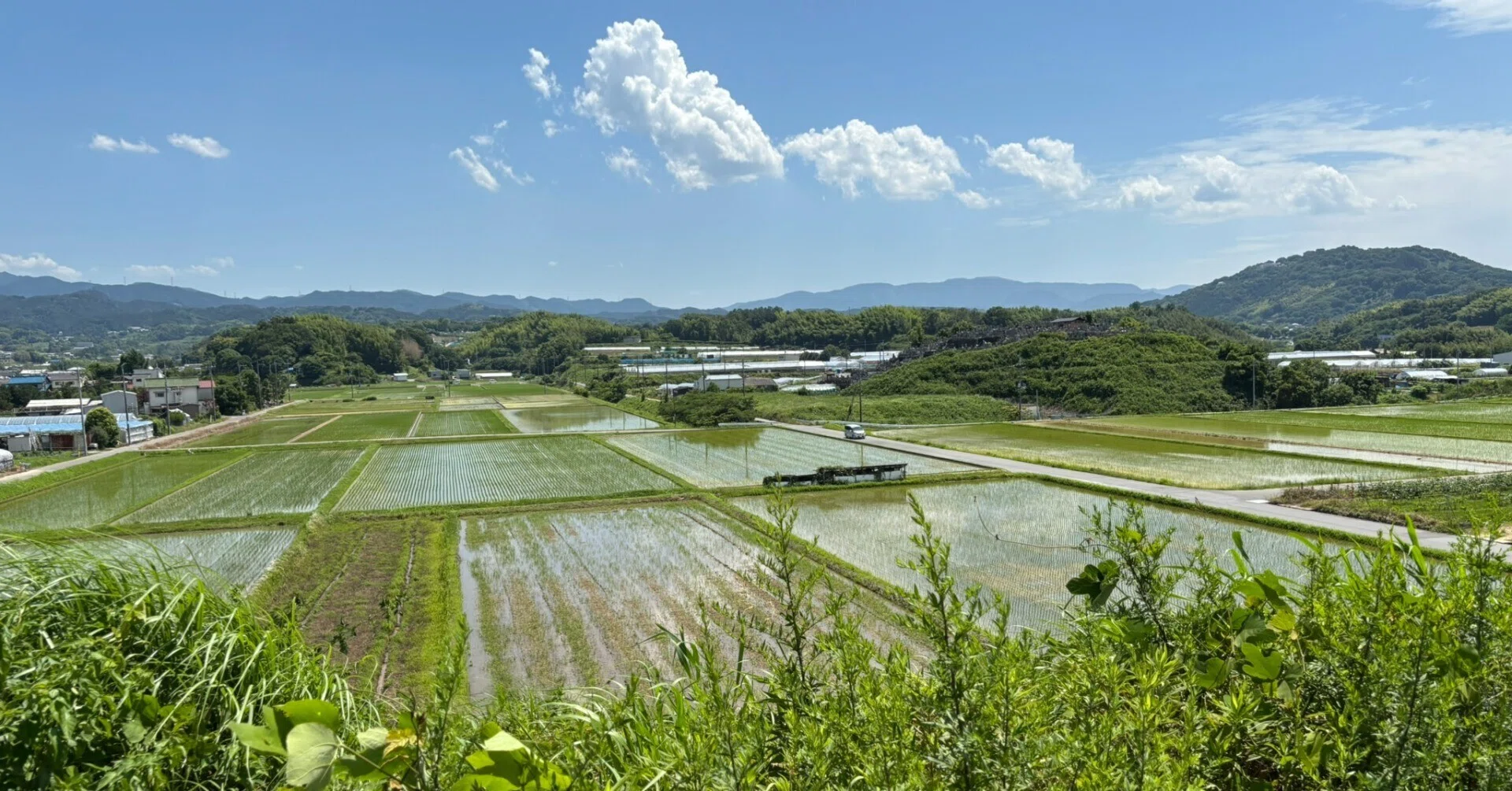 南河内郡河南町】古代豪族が見た風景と同じ？寛弘寺の七ツ墓と言われた