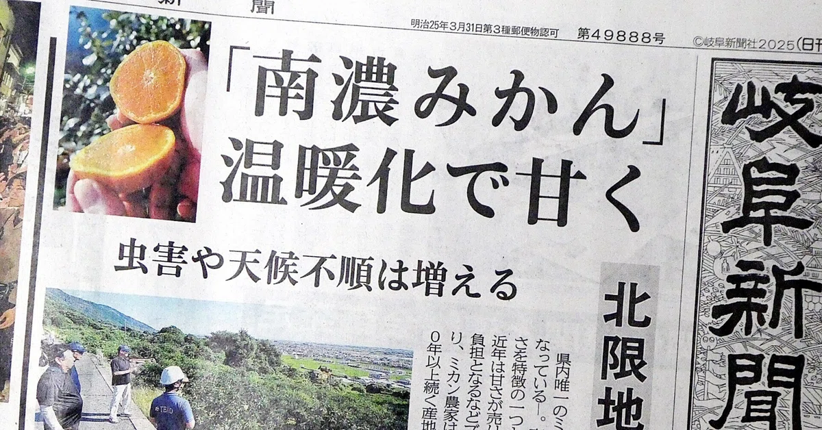 Globalization Orange The 'Not-So-Sweet' Reality of Mandarin Orange Cultivation Due to Global ...