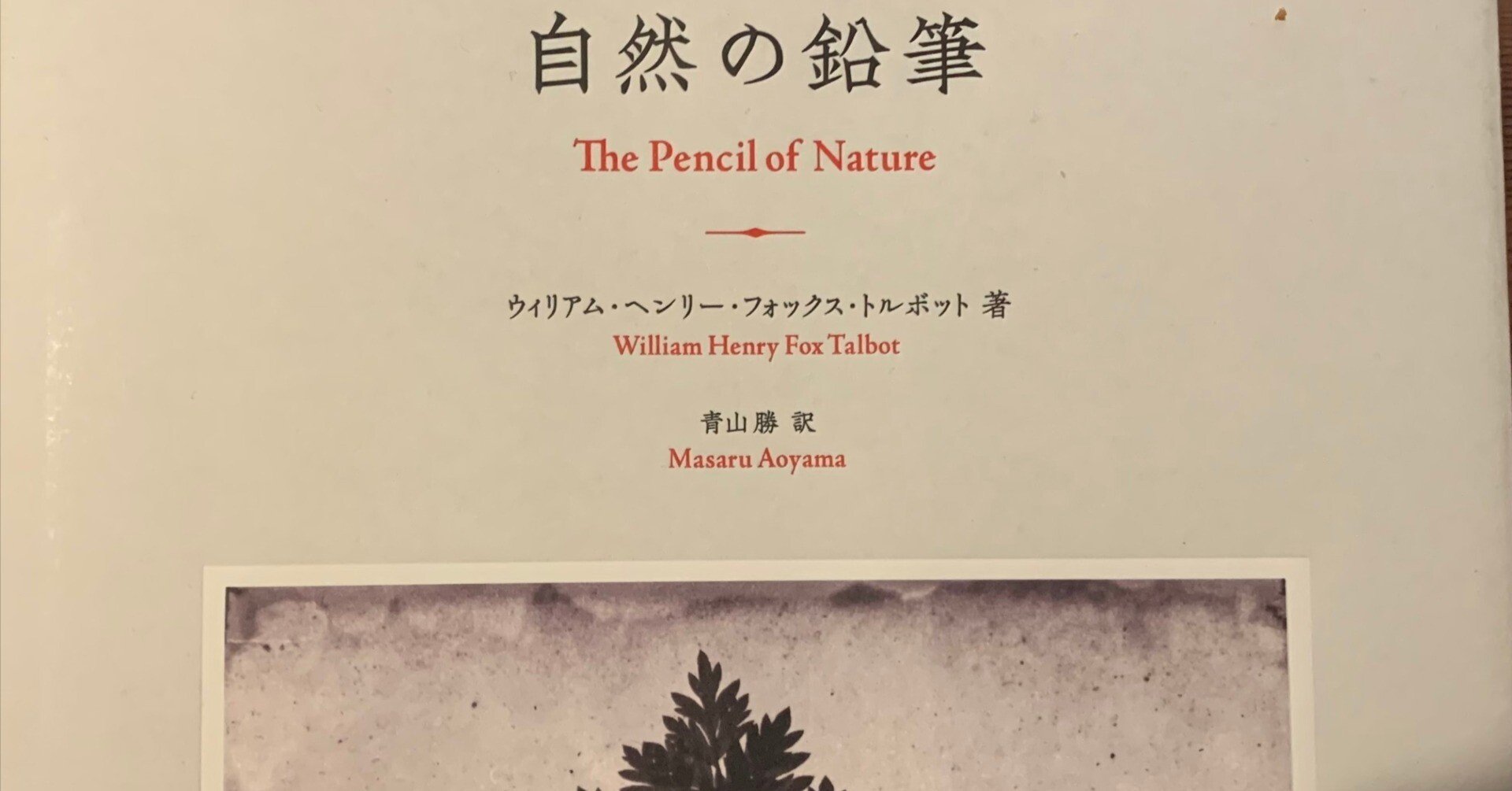 86 写真集：The Pencil of Nature 作家：William Henry Fox Talbot