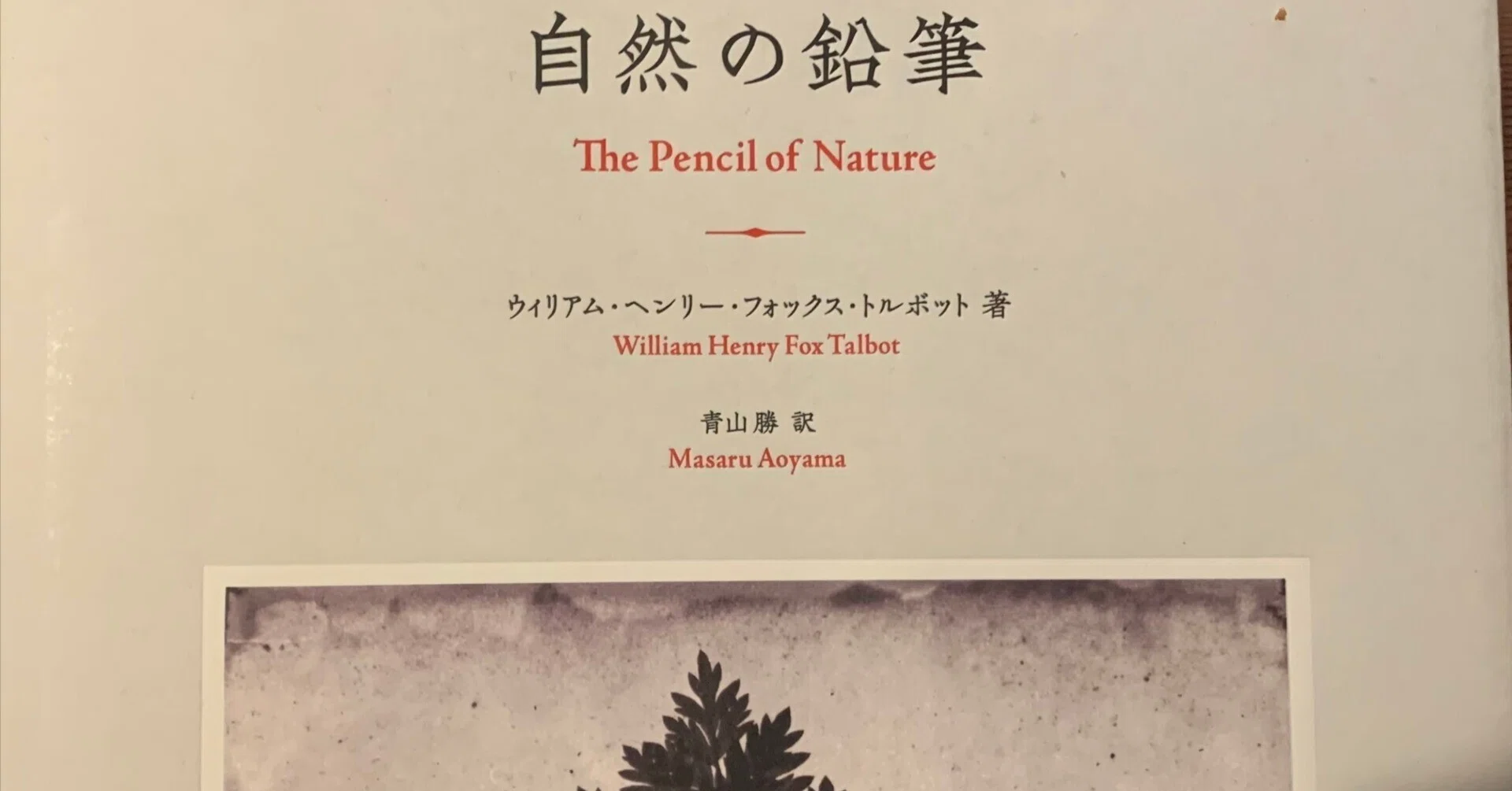 William Henry Fox Talbot ｜自然の鉛筆 William Henry Fox Talbot: The Pencil of Nature *JP Edition自然の
