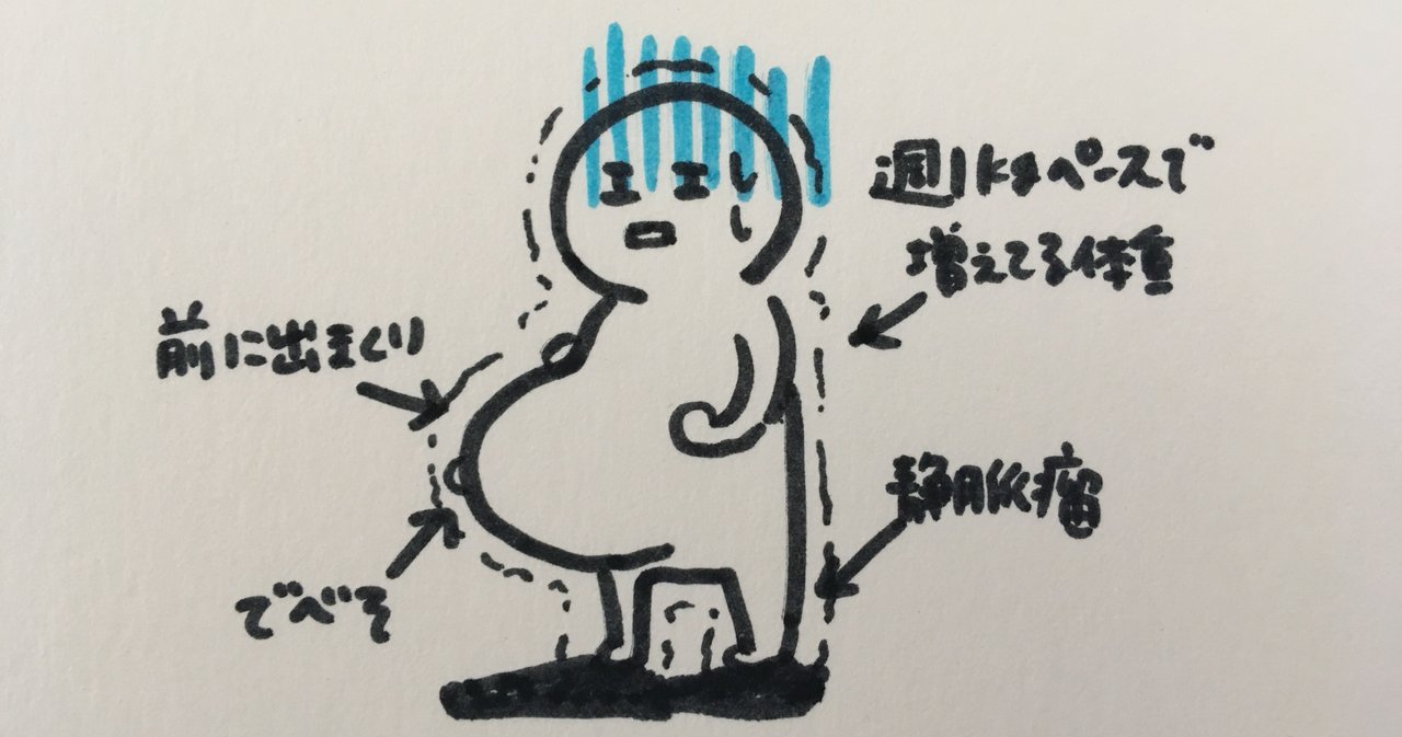 双子妊娠時に出会った 妊婦さんにお薦めしたい服 すいみん Note