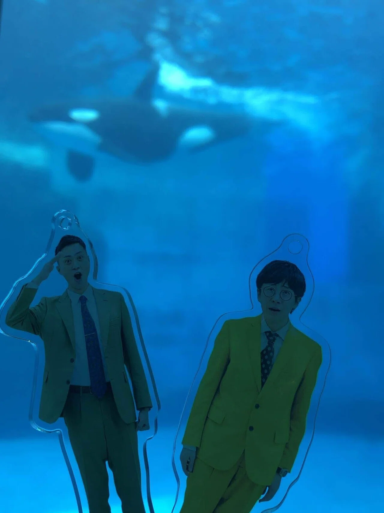 名古屋の記録 －水族館編－｜めっちゃええやん