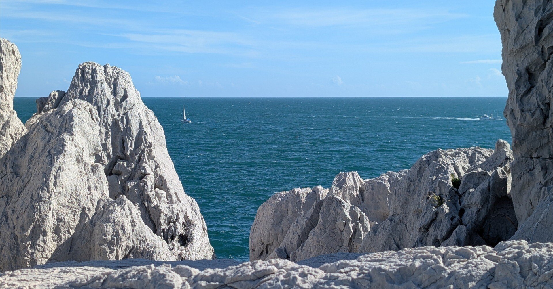 たくさん歩く(白崎海洋公園)#635｜やん（矢野達也）