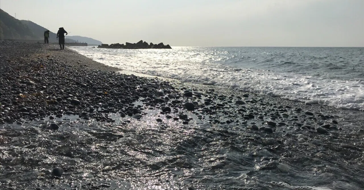 石の光／新潟の海で石拾い ｜思い出その六十四｜｜石の人