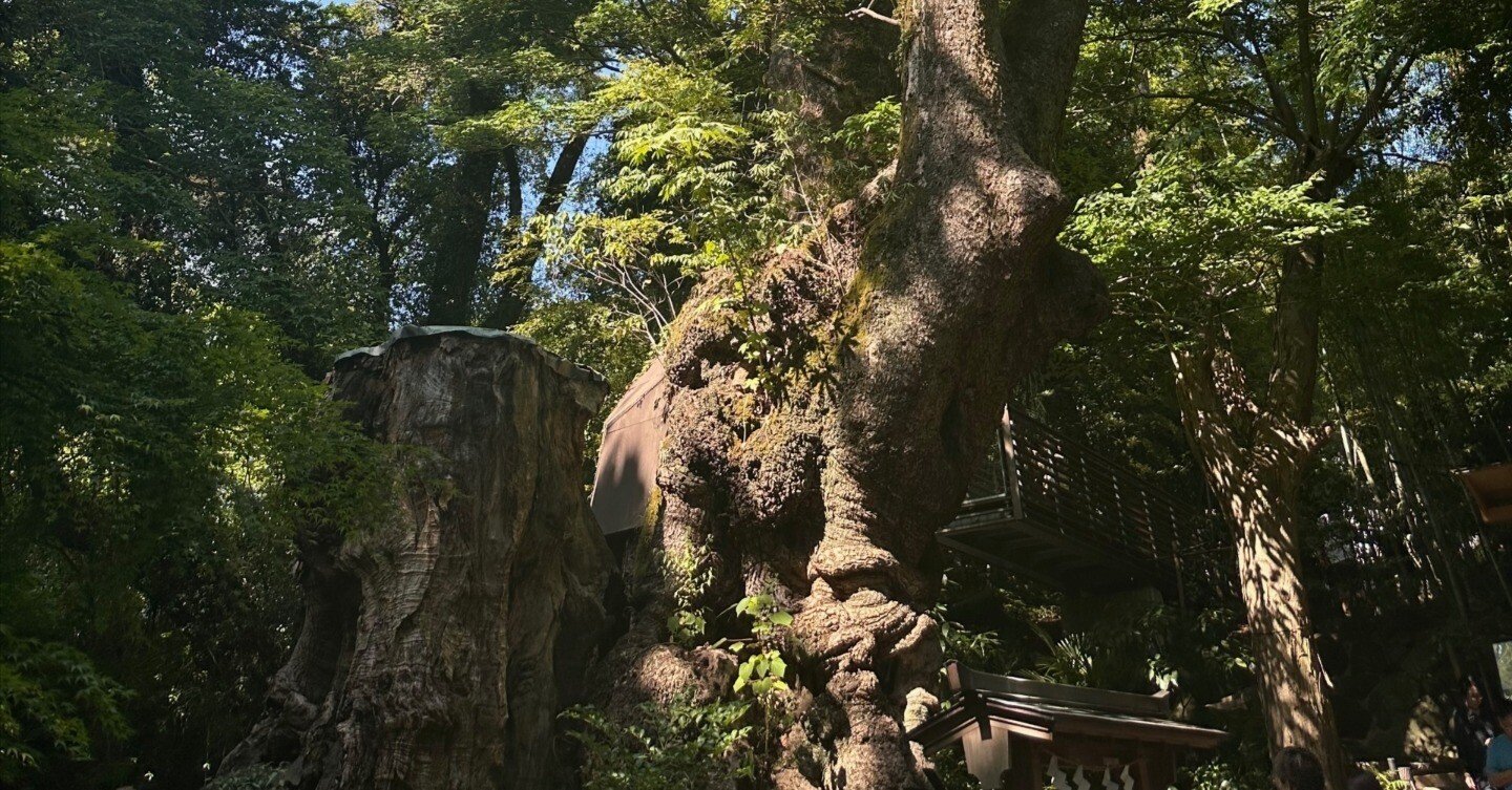 0ded9dd839653da42d4c749e7bce90