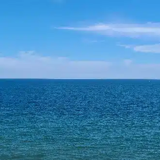 清水大輝