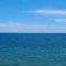 清水大輝