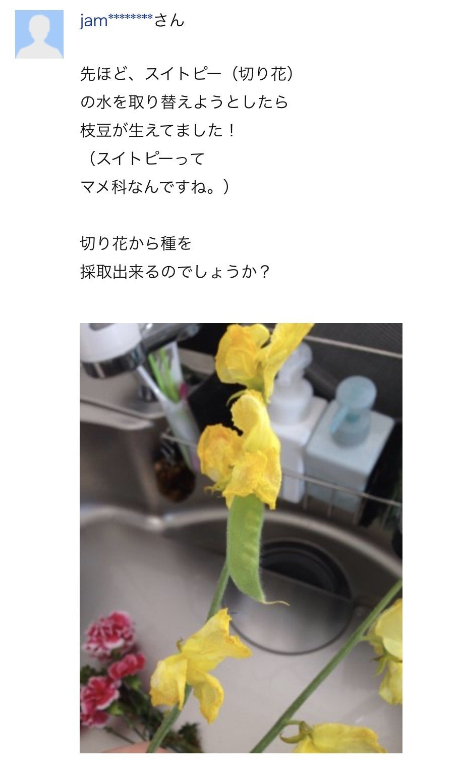 毎日note更新チャレンジ 3月13日 Elica ヒーリングスペースan Note 毎日note更新チャレンジ 3月13日 Elica ヒーリングスペースan Note