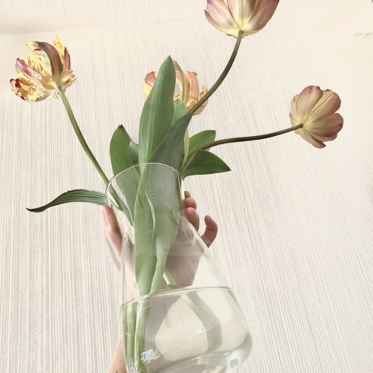 こんなときこそ家に花を飾ろう 本当はかんたんな草花の買い方 基本のお手入れ Juneray Note こんなときこそ家に花を飾ろう 本当はかんたんな草花の買い方 基本のお手入れ Juneray Note